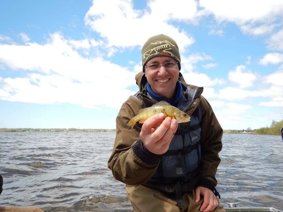 Researcher Carl Ruetz holding a small Yellow Perch